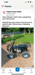 TAO 4-Wheeler for sale in garden setting.